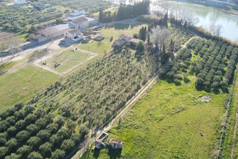 Landejendom i Mora La Nova, Tarragona, Mora La Nova - € 89.000 | Ref: L910M Riordan  - foto 35